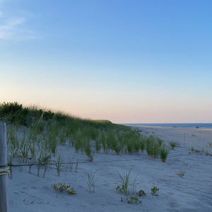 Meet your Posher, Layla